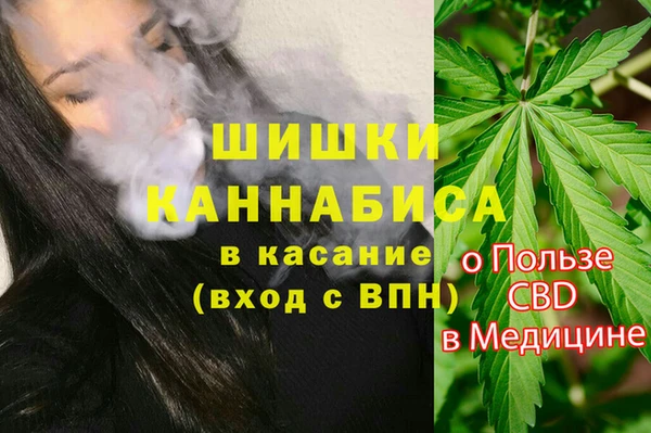 ГАЛЛЮЦИНОГЕННЫЕ ГРИБЫ Протвино