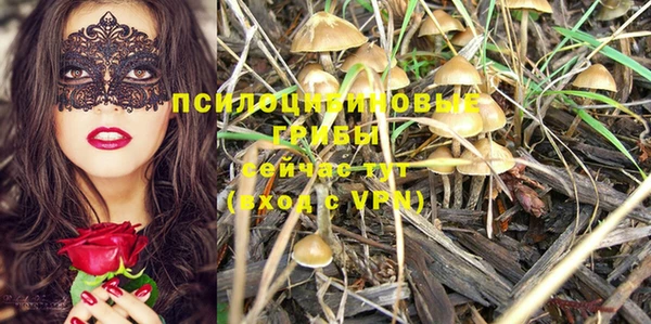 соль курить ск Приозерск