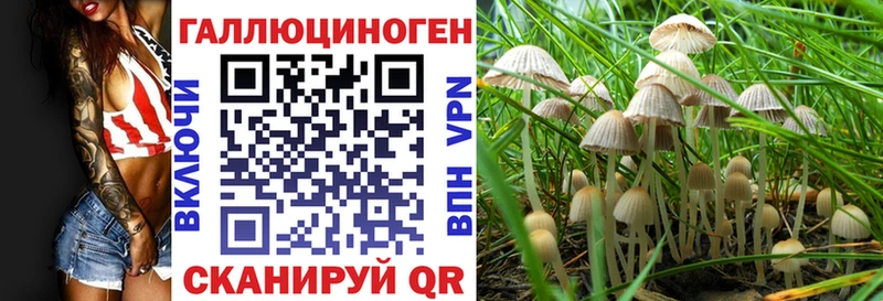 Псилоцибиновые грибы прущие грибы  Серафимович 